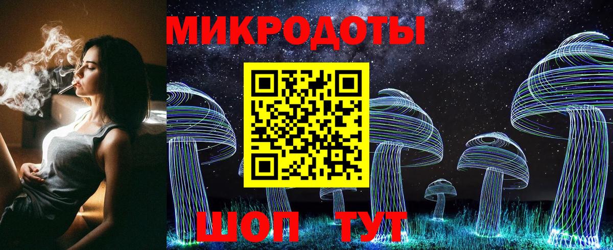 Псилоцибиновые грибы Psilocybe  Псилоцибиновые грибы Cubensis  Вход с VPN  Каменка 