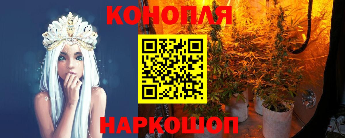 Конопля гибрид  Вход с VPN  Каменка  Бошки марихуана план  Марихуана индика  Бошки марихуана White Widow 